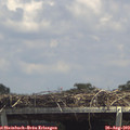 14_00-mast.jpg