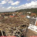 14_00-nest.jpg