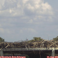 14_05-mast.jpg
