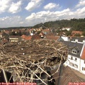 14_05-nest.jpg