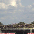 14_10-mast.jpg