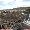 14_10-nest.jpg
