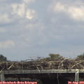 14_15-mast.jpg