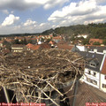 14_15-nest.jpg