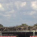 14_20-mast.jpg