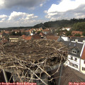 14_20-nest.jpg