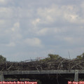 14_25-mast.jpg