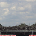 14_30-mast.jpg