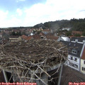 14_30-nest.jpg