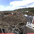 14_35-nest.jpg