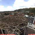 14_40-nest.jpg