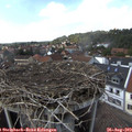 14_45-nest.jpg