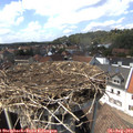 14_55-nest.jpg
