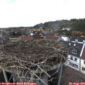 15_00-nest.jpg