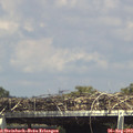 15_05-mast.jpg
