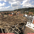 15_05-nest.jpg