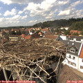 15_10-nest.jpg