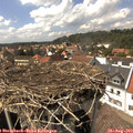 15_15-nest.jpg