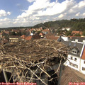 15_20-nest.jpg