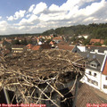 15_25-nest.jpg
