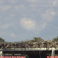 15_30-mast.jpg
