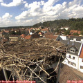 15_30-nest.jpg