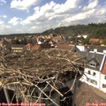 15_35-nest.jpg