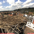15_40-nest.jpg