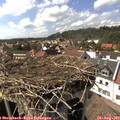 15_55-nest.jpg