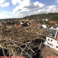 16_00-nest.jpg