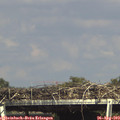 16_05-mast.jpg