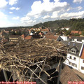 16_05-nest.jpg