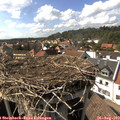 16_10-nest.jpg