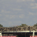 16_15-mast.jpg