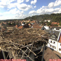 16_15-nest.jpg