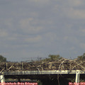 16_20-mast.jpg