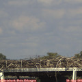 16_25-mast.jpg