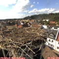 16_25-nest.jpg