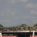 16_30-mast.jpg
