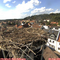 16_30-nest.jpg
