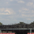 16_35-mast.jpg