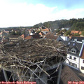 16_45-nest.jpg