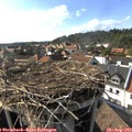 17_00-nest.jpg