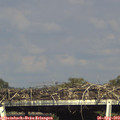17_05-mast.jpg