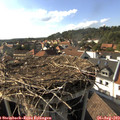17_05-nest.jpg