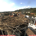 17_10-nest.jpg