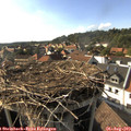 17_15-nest.jpg