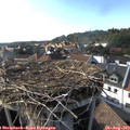 17_20-nest.jpg