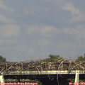 17_25-mast.jpg