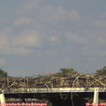 17_35-mast.jpg